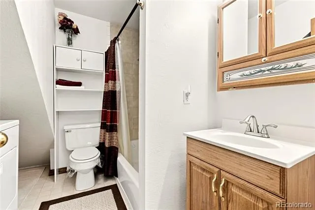 271 Willow Lane Alma, CO 80420