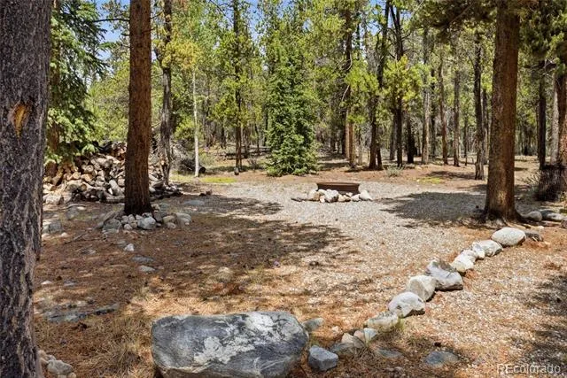271 Willow Lane Alma, CO 80420