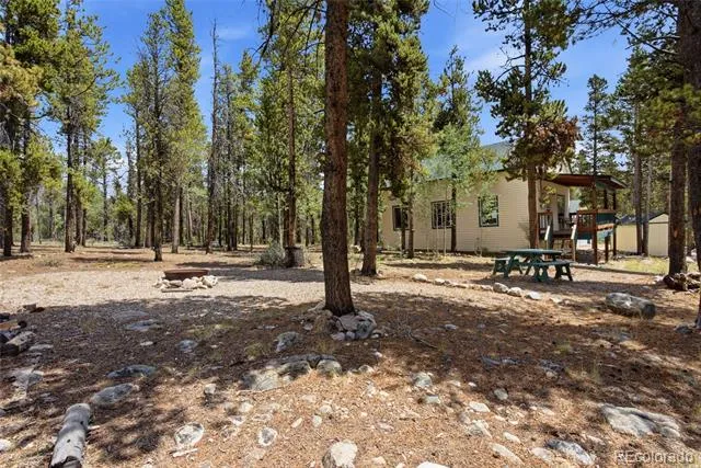 271 Willow Lane Alma, CO 80420