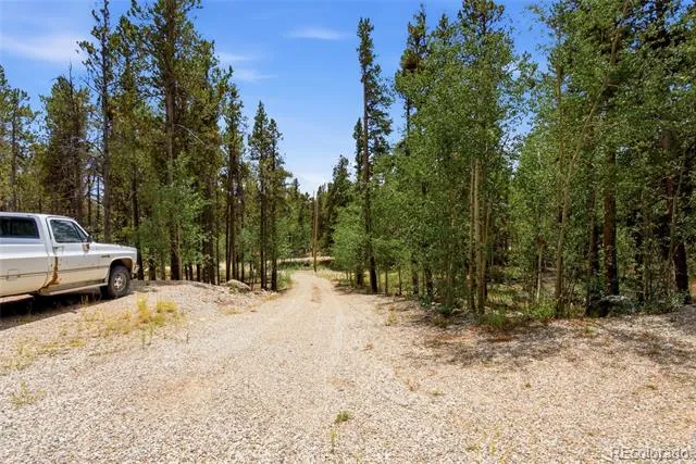 271 Willow Lane Alma, CO 80420
