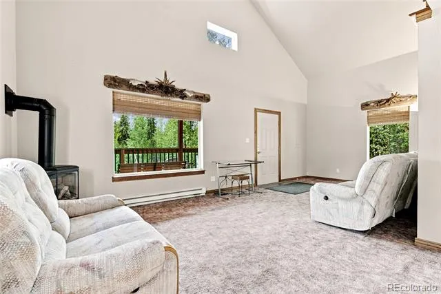 271 Willow Lane Alma, CO 80420