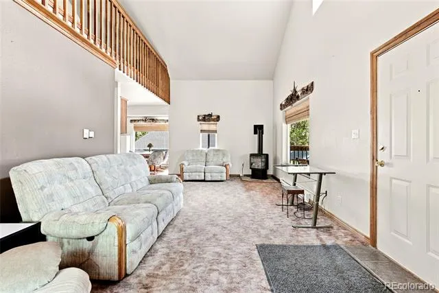 271 Willow Lane Alma, CO 80420