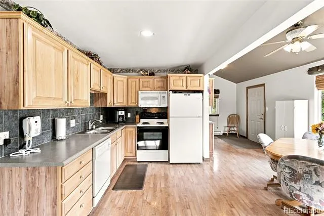 271 Willow Lane Alma, CO 80420