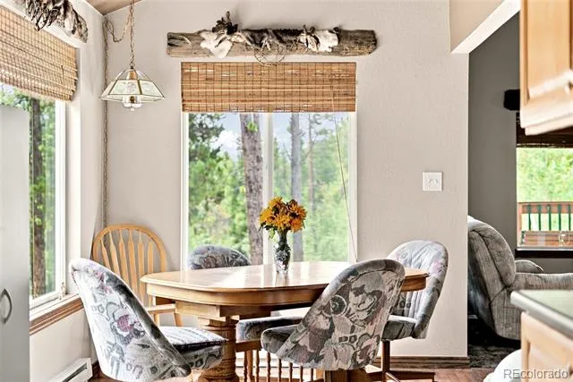 271 Willow Lane Alma, CO 80420