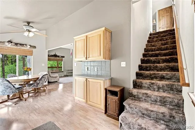 271 Willow Lane Alma, CO 80420