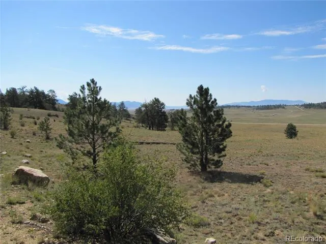 984 Arapahoe Trail Hartsel, CO 80449