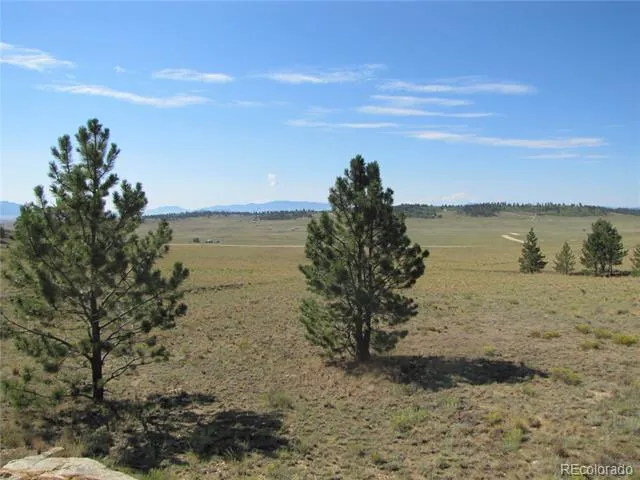 984 Arapahoe Trail Hartsel, CO 80449