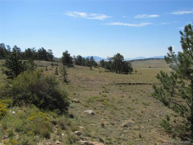984 Arapahoe Trail Hartsel, CO 80449