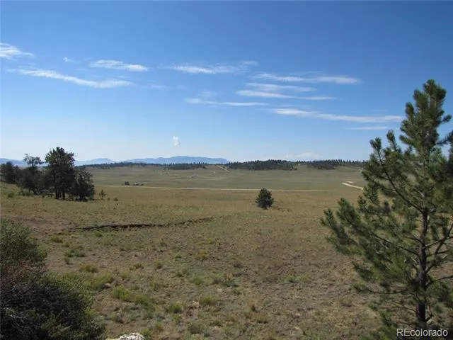 984 Arapahoe Trail Hartsel, CO 80449