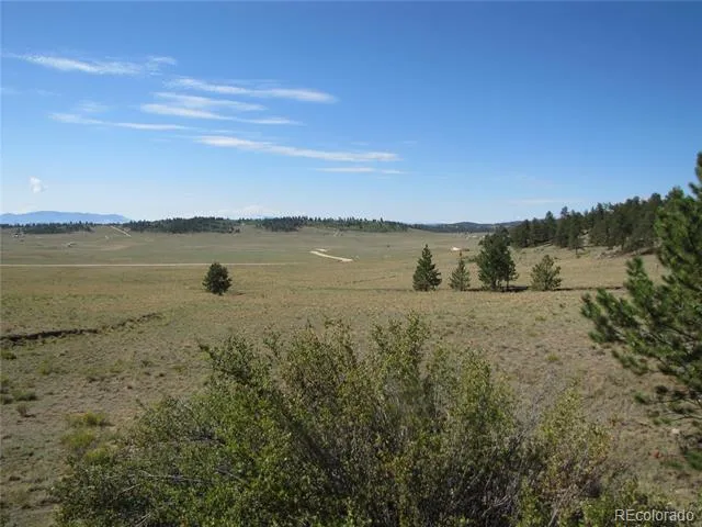 984 Arapahoe Trail Hartsel, CO 80449