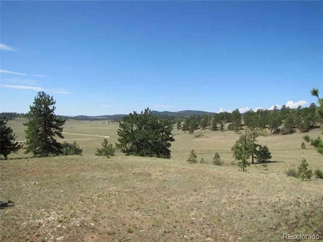 984 Arapahoe Trail Hartsel, CO 80449