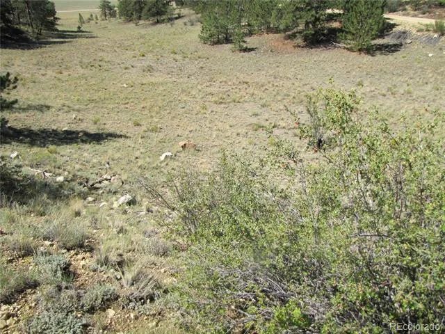 984 Arapahoe Trail Hartsel, CO 80449