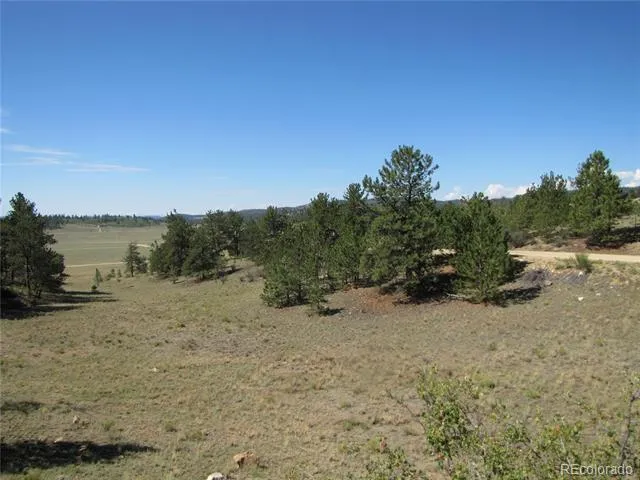 984 Arapahoe Trail Hartsel, CO 80449