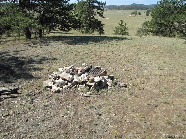 984 Arapahoe Trail Hartsel, CO 80449