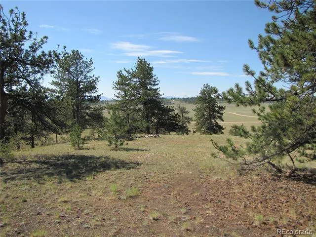 984 Arapahoe Trail Hartsel, CO 80449