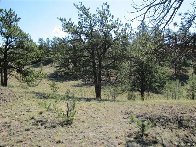 984 Arapahoe Trail Hartsel, CO 80449