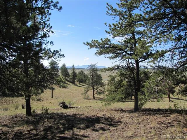 984 Arapahoe Trail Hartsel, CO 80449
