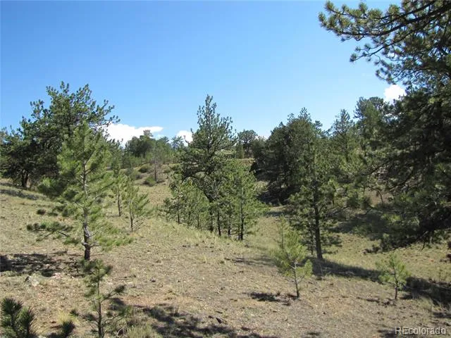 984 Arapahoe Trail Hartsel, CO 80449