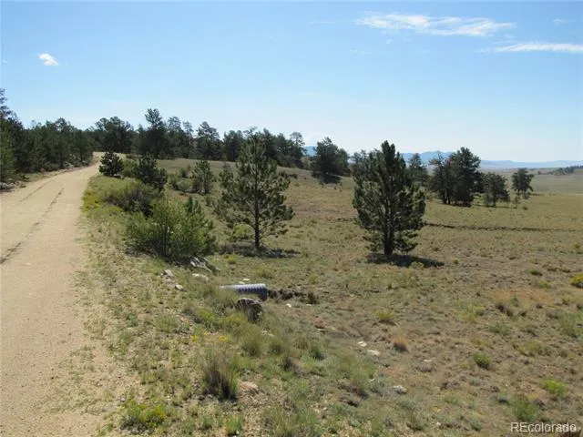 984 Arapahoe Trail Hartsel, CO 80449