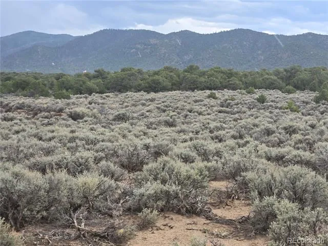 Lot 1047 Lee Way Fort Garland, CO 81123