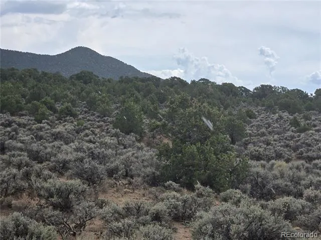 Lot 1047 Lee Way Fort Garland, CO 81123