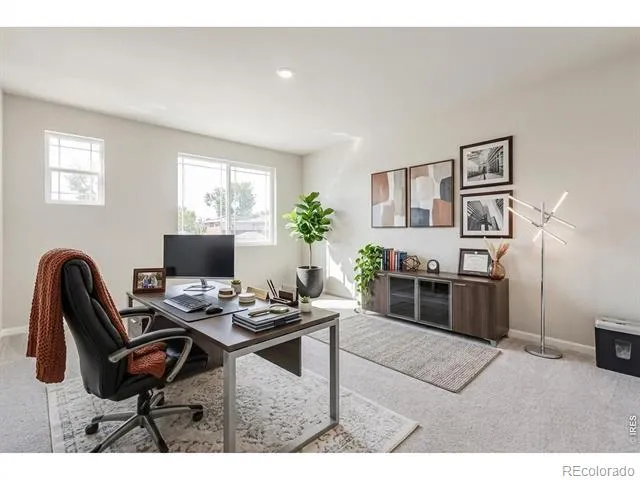 635 Noola Street Windsor, CO 80550