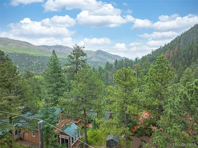 4390 Prairie Street Cascade, CO 80809