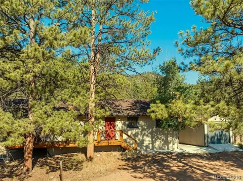62 White Trail