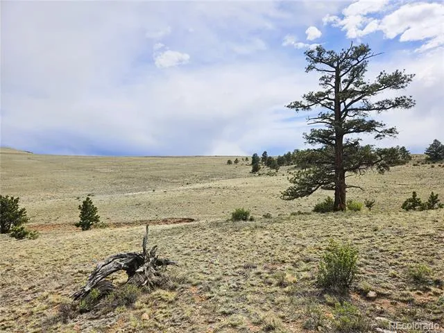 PCS#24131 Chato Road Hartsel, CO 80449