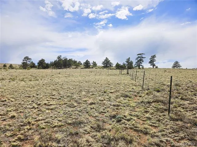 PCS#24131 Chato Road Hartsel, CO 80449