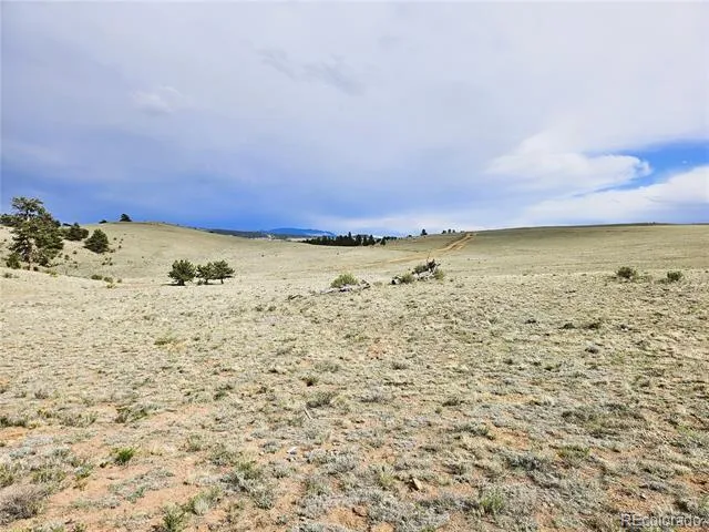 PCS#24131 Chato Road Hartsel, CO 80449