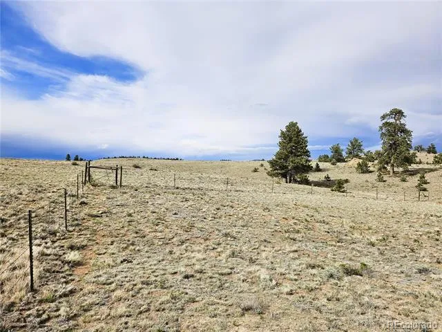 PCS#24131 Chato Road Hartsel, CO 80449