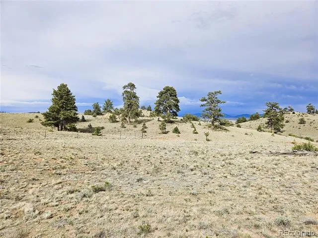PCS#24131 Chato Road Hartsel, CO 80449