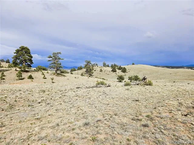 PCS#24131 Chato Road Hartsel, CO 80449