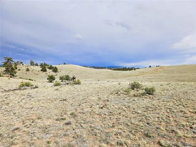 PCS#24131 Chato Road Hartsel, CO 80449