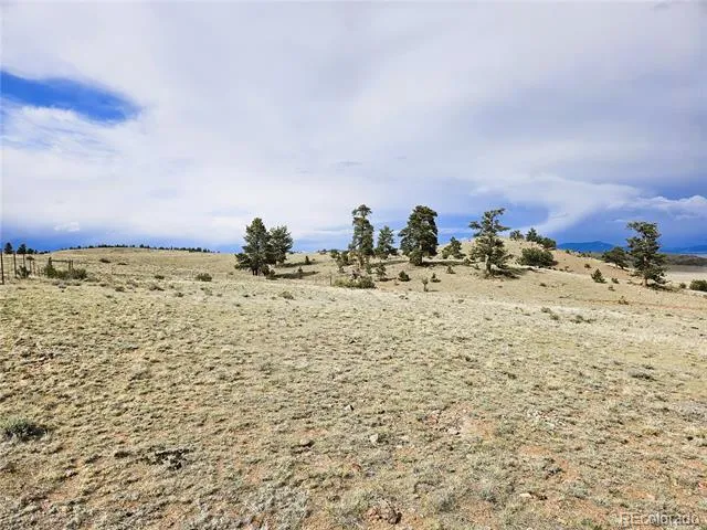 PCS#24131 Chato Road Hartsel, CO 80449