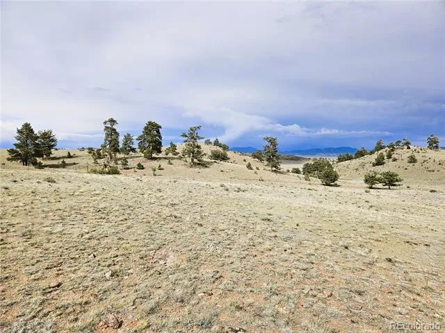 PCS#24131 Chato Road Hartsel, CO 80449