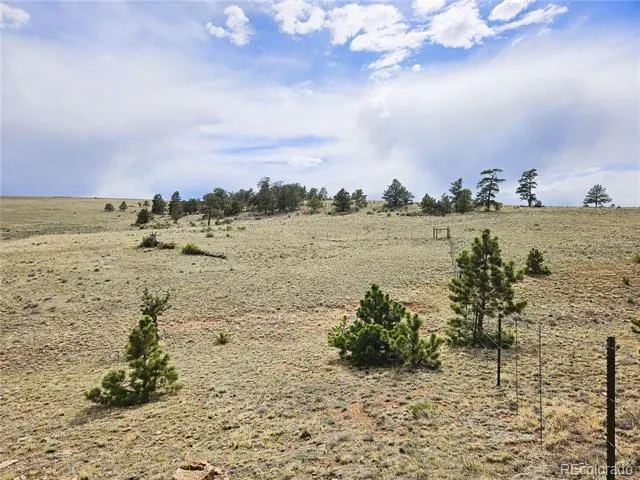 PCS#24131 Chato Road Hartsel, CO 80449