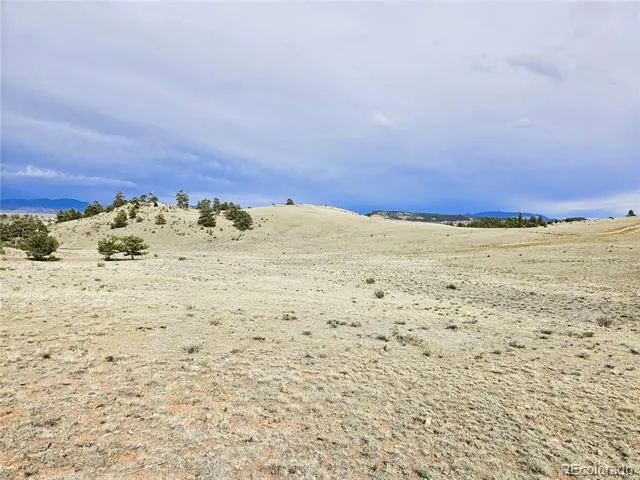 PCS#24131 Chato Road Hartsel, CO 80449