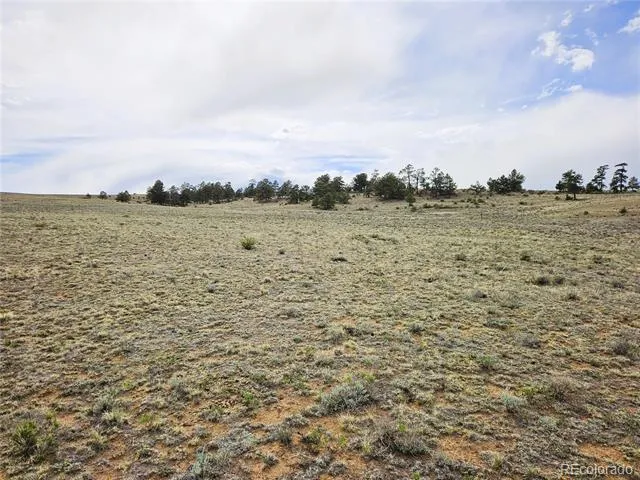 PCS#24131 Chato Road Hartsel, CO 80449