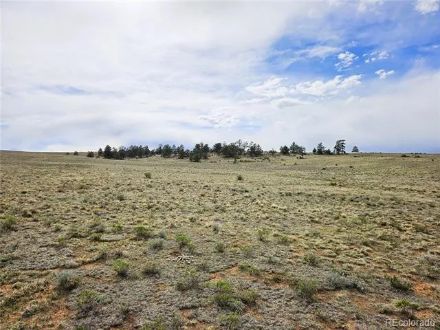 PCS#24131 Chato Road Hartsel, CO 80449