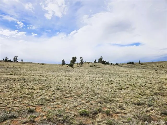 PCS#24131 Chato Road Hartsel, CO 80449