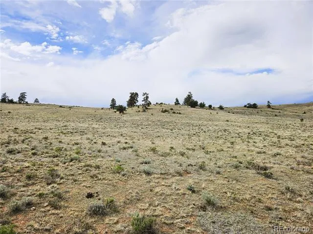 PCS#24131 Chato Road Hartsel, CO 80449
