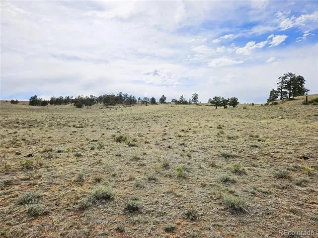 PCS#24131 Chato Road Hartsel, CO 80449