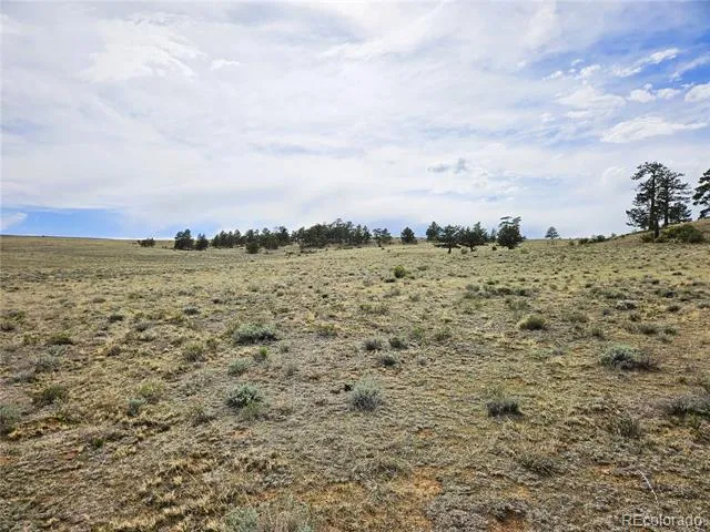 PCS#24131 Chato Road Hartsel, CO 80449