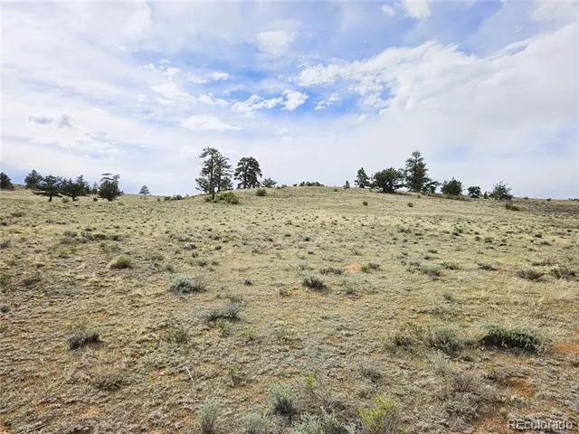 PCS#24131 Chato Road Hartsel, CO 80449