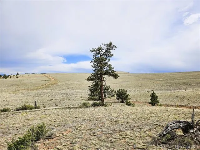 PCS#24131 Chato Road Hartsel, CO 80449