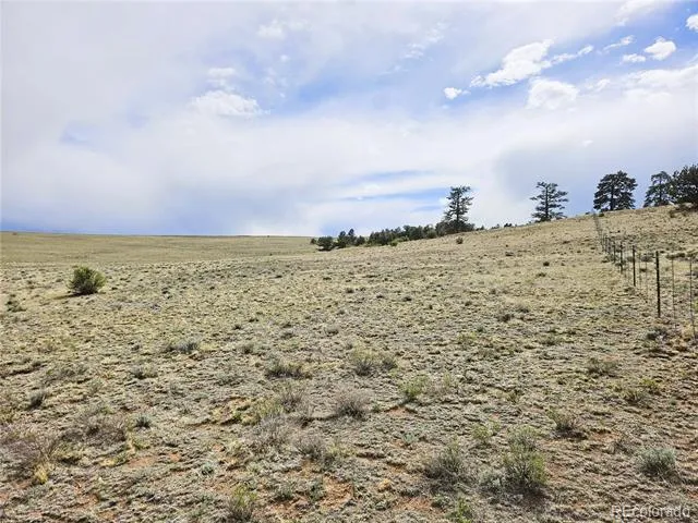 PCS#24131 Chato Road Hartsel, CO 80449