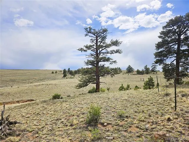 PCS#24131 Chato Road Hartsel, CO 80449