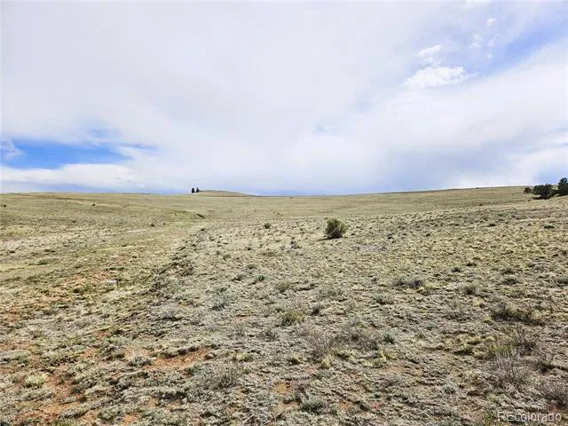 PCS#24131 Chato Road Hartsel, CO 80449